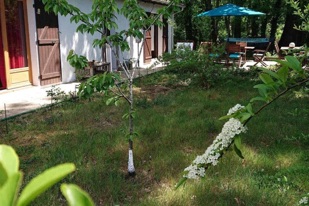 Villa Azurine Andernos Les Bains Ngoại thất bức ảnh